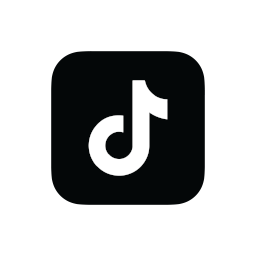 icon tikton